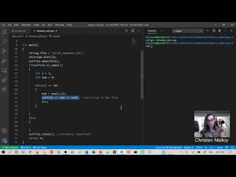 File I/O: Writing to a file (ofstream)