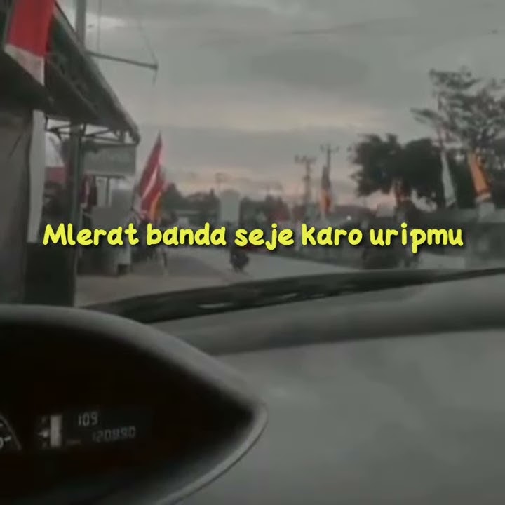 Story wa cidro