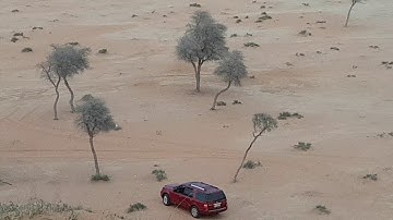 تلاوة آيات { واضرب لهم مثلاً رجلين } [الكهف] /للشيخ المُقريء : د.عبدالحكيم الشاعر- بقراءة أبي جعفر