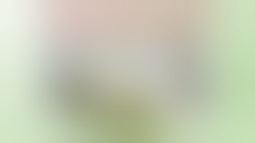 Analytical Report Testing of Cannabis Plant Material