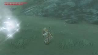 Breath of the Wild - Ice Keese Parry