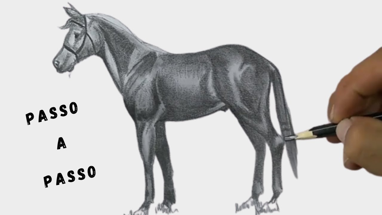 Desenhar Cavalo Passo A Passo - FDPLEARN