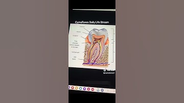 Regrow Your Teeth with Frequencies Sound Tuning Biohacking