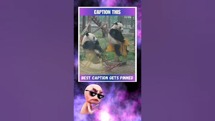 Caption This. #foryou #viral #pandas #meme #shorts #daily #xyzbca