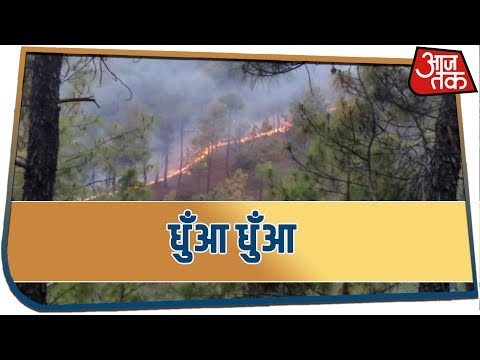 जंगल की आग ने किया इलाके को धुँआ धुँआ ! |Subah Subah