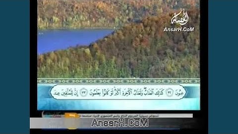ميثم التمار سورة القلم