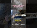 人は極限状態だとこうなってしまう #short #サバイバルキング #サバキン