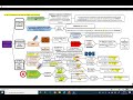 ESQUEMA ELABORACIÓN LEYES