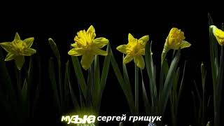 Музыка Для Души ,,Белыми Ночами,,  Музыка Сергей Грищук