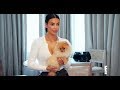 Cute is Not Enough - Funny Cats and Dogs Compilation 2018