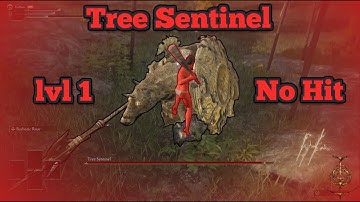 Mayo joins the club club [Tree Sent. - lvl 1 - No Hit]