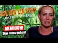 Dschungelcamp 2024: ABBRUCH! TOTALAUSFALL bei RTL! image