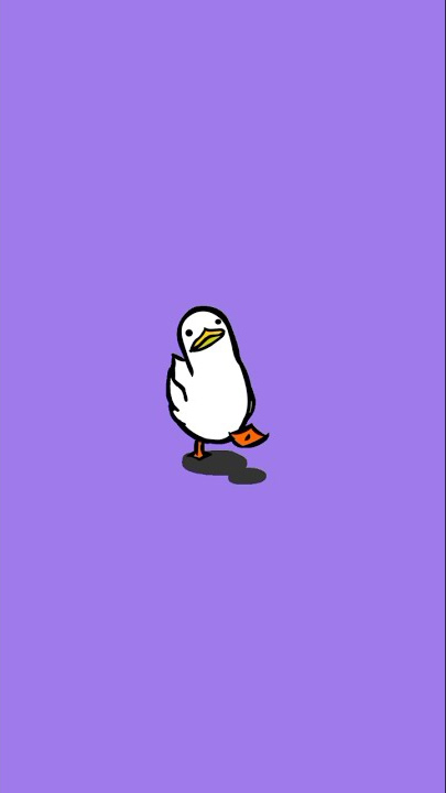 duck