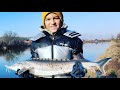 Рыбалка на осетра и белугу Одесская область село Степановка, осетровое хозяйство Надежда.