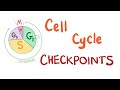 Checkpoints of the Cell Cycle