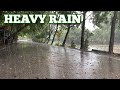 Rain Sounds for Sleeping or Relaxing ⚡ Rumbling Thunder ⚡ Wind Rain & Thunderstorm Sounds on Street