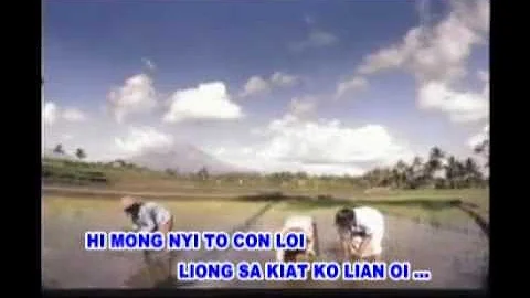 Lily - Kam Chin (Hakka Song)