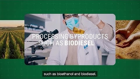 The Science That Keeps Biofuels Flowing