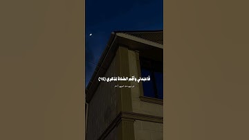 تلاوة ندية | القارئ عمر ضياء الدين