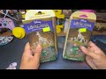 Disney Lorcana Trading Card Game
