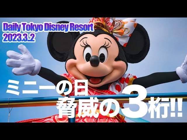 Disney Resort ミニーカー13個 Pre-Order Tokyo Disney Resort 2022 Pair Plush Minnie