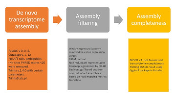De Novo Transcriptome Assembly and Functional Annotation in Five Species of Bats