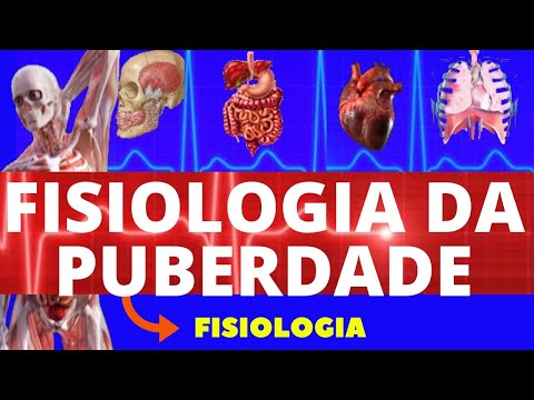 FISIOLOGIA DA PUBERDADE (FISIOLOGIA DE GUYTON) - PUBERDADE FEMININA - FISIOLOGIA HUMANA