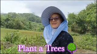 planting a trees in garden for better tomorrow #beginners #plants #treestory #tropicalgarden