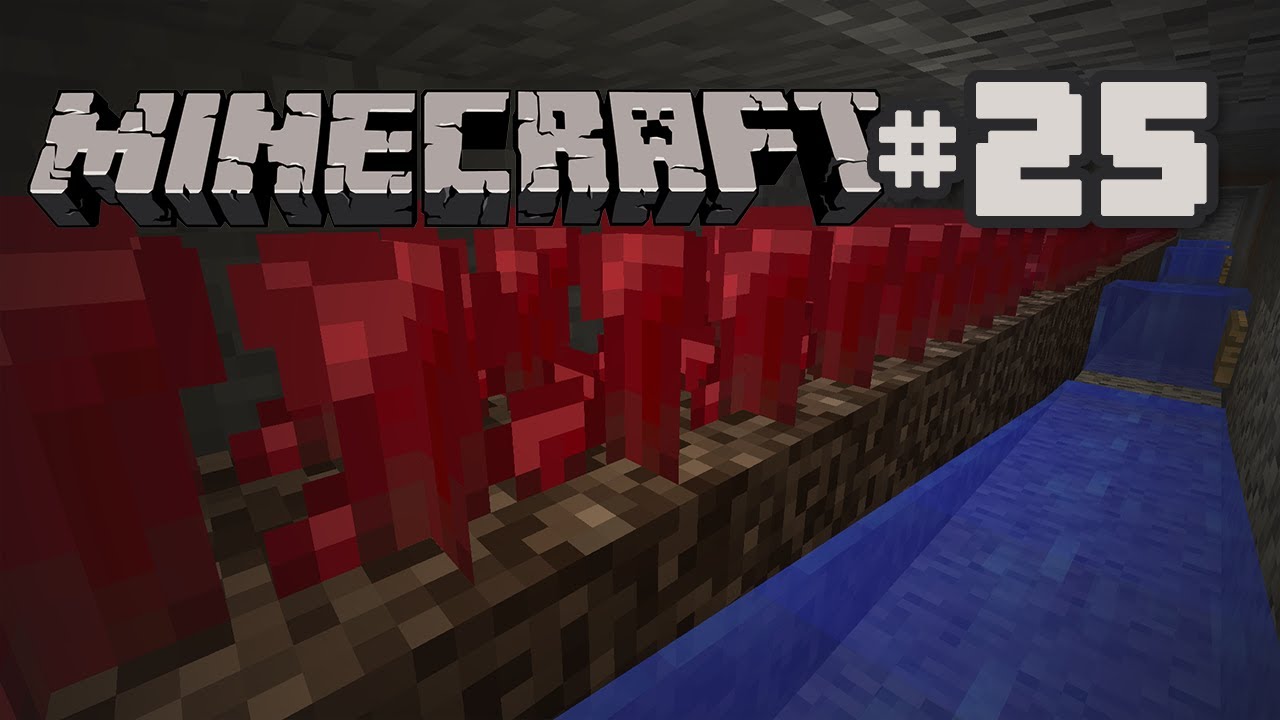 Minecraft - Ep 25 - Nether Wart Farm 