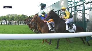Vidéo de la course PMU PRIX MARCHAND D'OR
