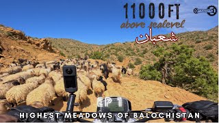 Shaban Valley | Torshor |Shaban Chamani | Highest Peak of Balochistan | Tourism in Balochistan EP 1