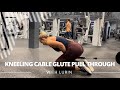 Kneeling Cable Glute Pull Through