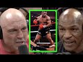 Mike Tyson Finds Fighting To Be...Arousing