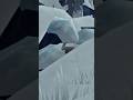 Was zitterst dn so - The Long Dark - Survival