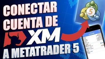Cómo conectar cuenta de XM a MT5 | Tutorial de Metatrader 5