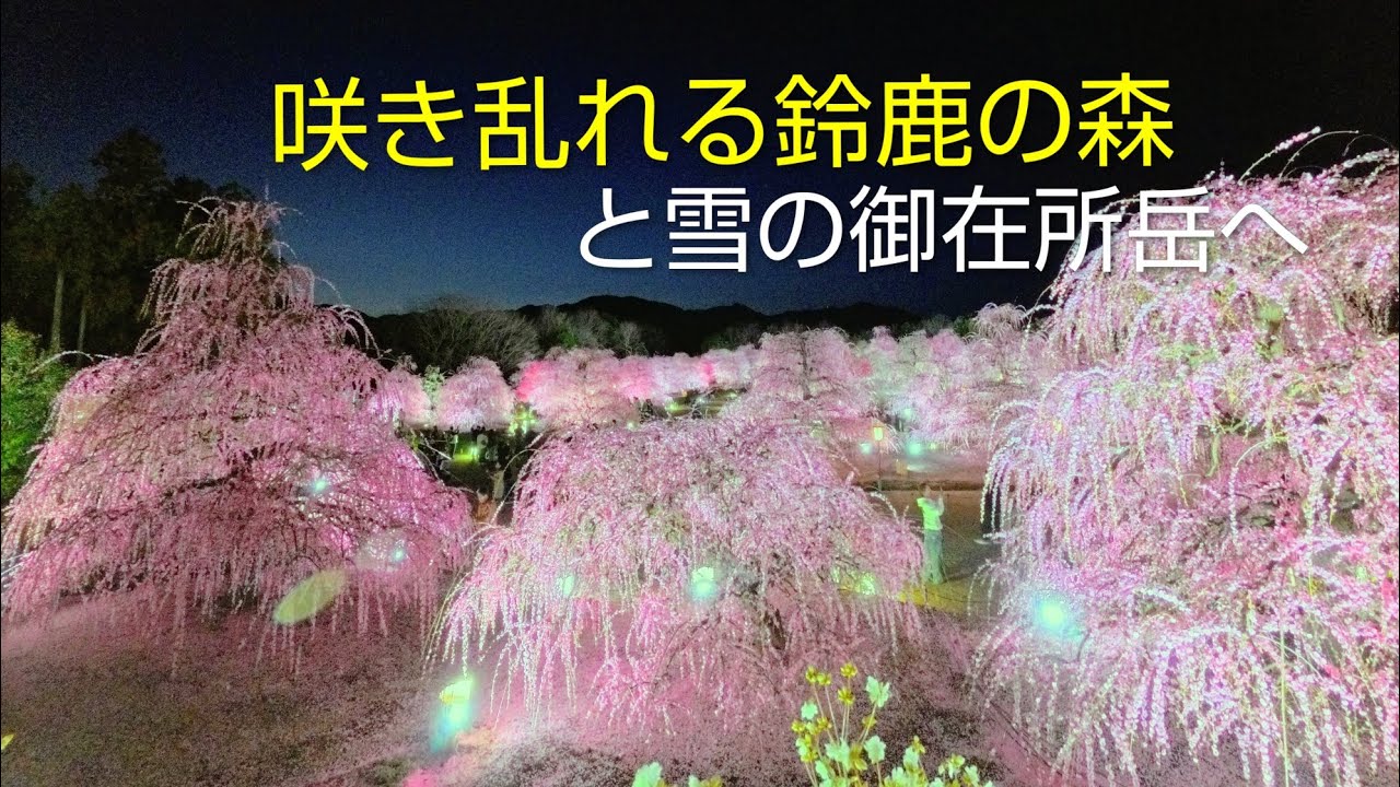 咲き乱れる鈴鹿の森と雪の御在所岳へ