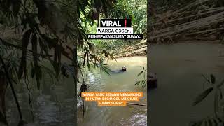 Viral Warga G3Ger.. Dengan Ada Nya Pen4Mpakan Sumay Sumay..