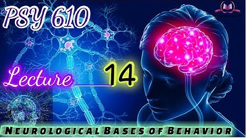 PSY610 || Lecture 14 || Neurological Bases of Behavior || Short Lecture || VU Lectures