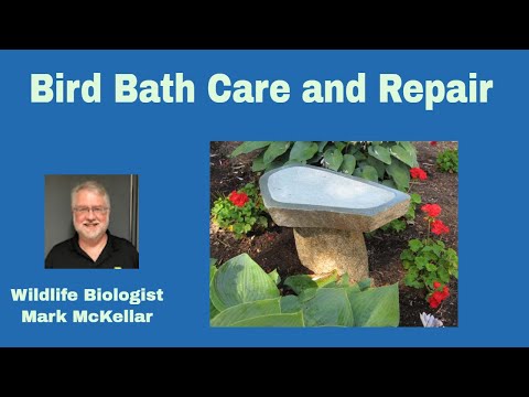 Bird Bath Care and Repair