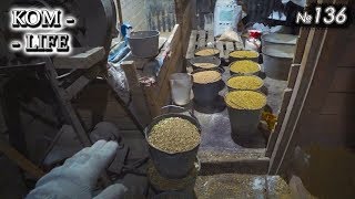 видео: Как нужно кормить свиноматок картинка: Как нужно кормить свиноматок