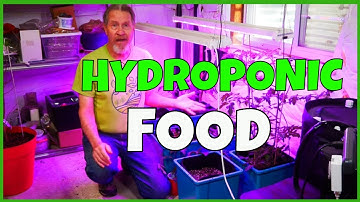 Adding Hydroponic Nutrients