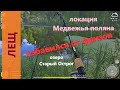 Русская рыбалка 4 - озеро Старый Острог - Избавился от фризов или лещ у базы