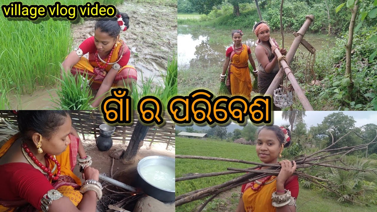 ଗାଁ ର ସୁନ୍ଦର ପରିବେଶ ରେ ରହିବା ଅଲଗା ମଜା #village#life#girl#farmerlife I leave 5 hour's village life