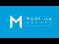 Molik Vs Arvidsson highlights