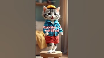 Kitten dance going viral 🕺🔥 | Viral video 🥰 #shorts #shortsfeed #cat #catdance #cutecat