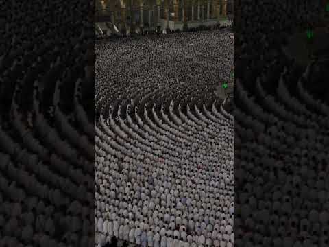 منهج رسوله الله وابو بكر وعمر