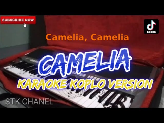 CAMELIA VERSI TASYA ROSMALA KARAOKE DANGDUT KOPLO STK CHANEL class=