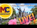 Micechat live spring is bustin out all over