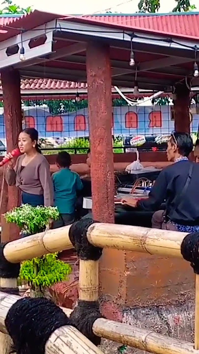 organ tunggal dangdut #shorts
