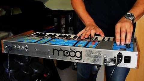 Vintage Synthesizers I Moog Source